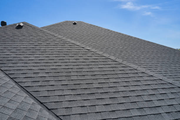 Best Sheet Metal Roofing  in Ridgeville, SC
